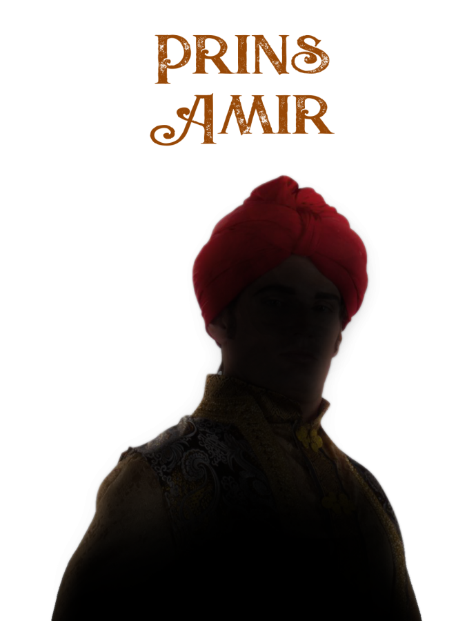 Prins Amir